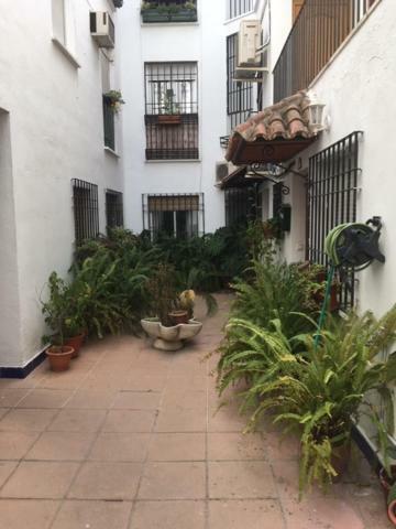 El Rincon De La Juderia Lägenhet Córdoba Exteriör bild